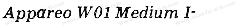 Appareo W01 Medium I字体转换